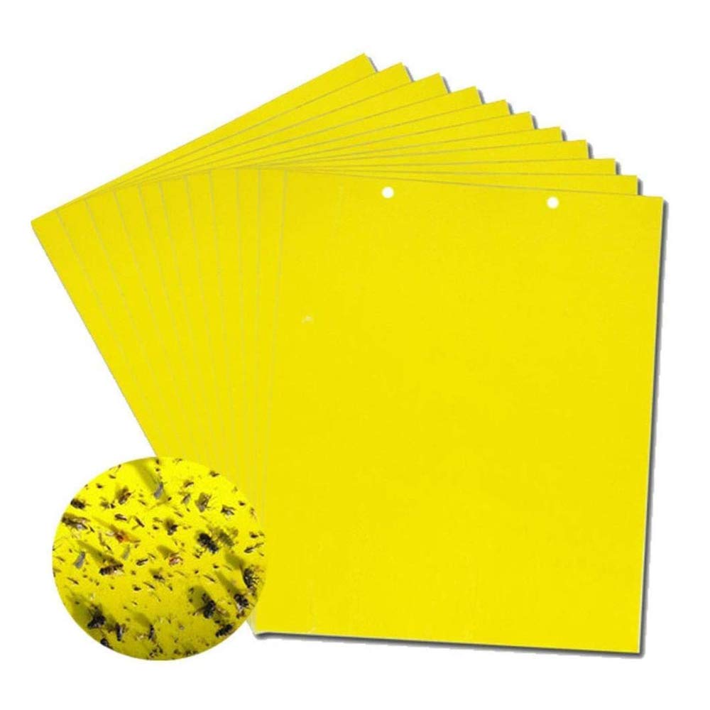 【50%OFF】💥【30 komada】žuta dvostrana ljepljiva ploča za insekte, naljepnice zamke za kukce za poljoprivredne voćnjake