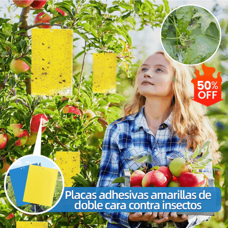 【50%OFF】💥【30 komada】žuta dvostrana ljepljiva ploča za insekte, naljepnice zamke za kukce za poljoprivredne voćnjake